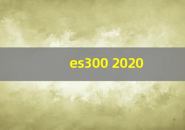 es300 2020